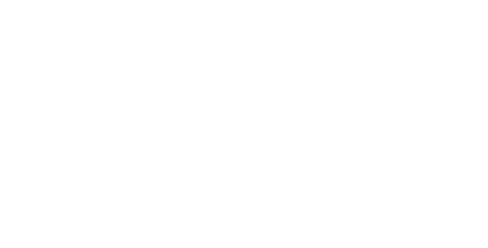 Aviatrix sağlayıcı logosu