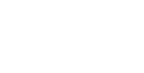 Evolution sağlayıcı logosu